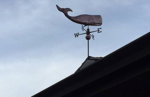 The Flying Whale-MountTabor. - Photo 24