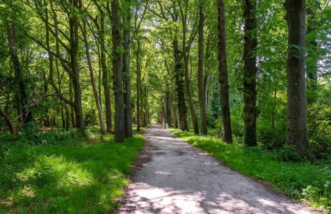 Sunny Apartment Directly on the Heegermeer - Foto 35