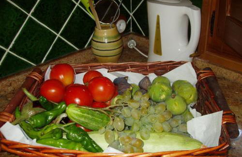 El Rincón de Carmen - Foto 138