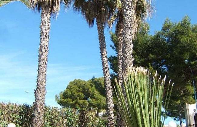 Trilocale In Villa Con Piscina - Clima E Wi-fi - Foto 23