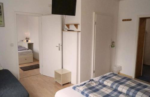 Haflinger Reiterhof Meura - Foto 33