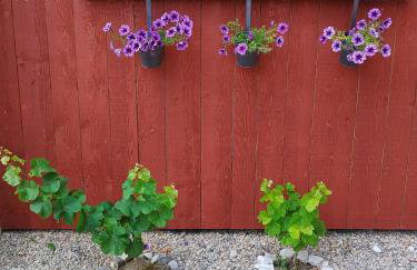 Three Little Birds Artists Residence - Foto 39