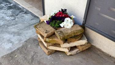 La casina di Alicia - Foto 5