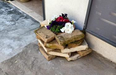 La casina di Alicia - Foto 5