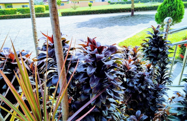 Renajoe Exclusive Centre - Photo 17