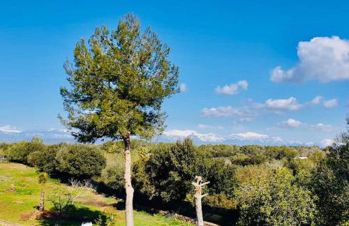 Finca Andi, Entspannung pur! - Foto 28