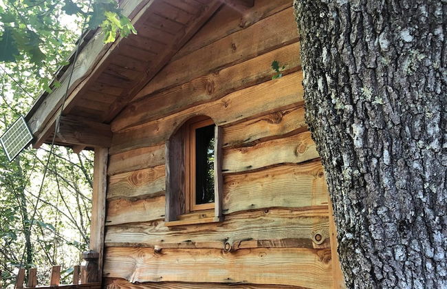 Ô bois dormant - Foto 12