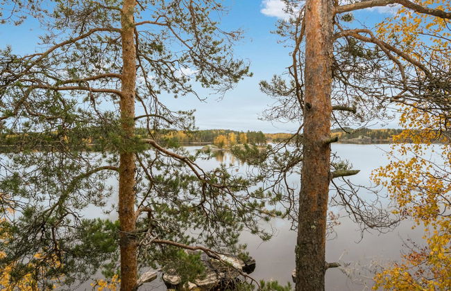 Orava-apaja - Foto 32