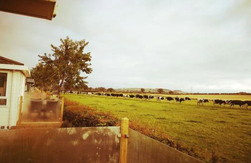 24 The Zen Den Cumbria - Foto 36