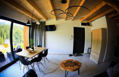 Gwiazda Mogielicy basen & balia, sauna - Foto 51