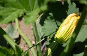 1912 Relais - Sorrento Coast - Foto 57