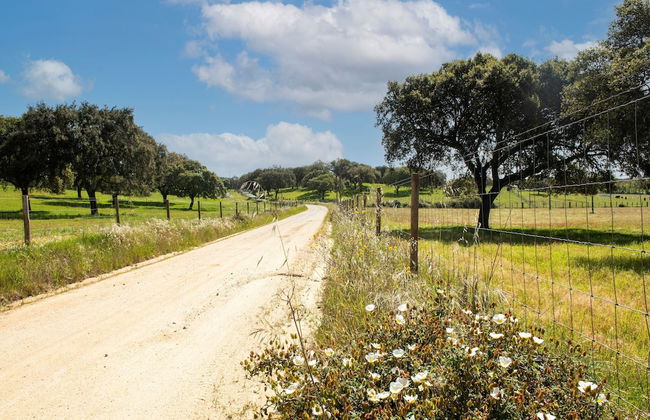 Farmhouse Dreams: Explore and Relax - Foto 39