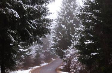 Kuća za odmor Sichelberg - Foto 30