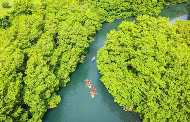 Village St Anne Pierre & Vacances - Foto 61