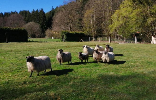 Romantic Stay in Saint-quirin - Foto 35