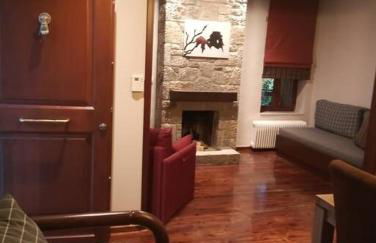 Τείχιο Πατρικό - Tihio Patriko - Πέτρινη κατοικία - Foto 7