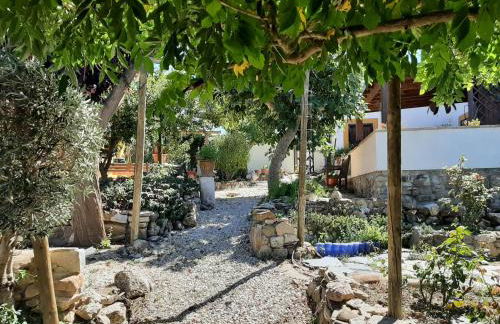 Cortijo Ramonsillos - Photo 32