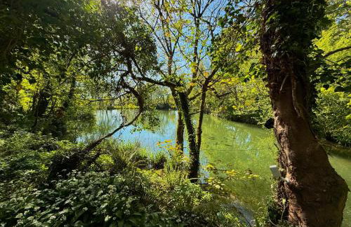 Sunridge Fishing Lodge with Hot Tub & Giant Cinema - Foto 25