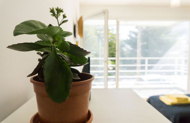 Gente del Sur - Josefina - Foto 51