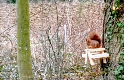 Studio neuf et cosy dans un écrin de nature - Foto 3