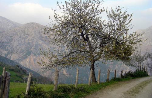 Casa Pelayin - Foto 62