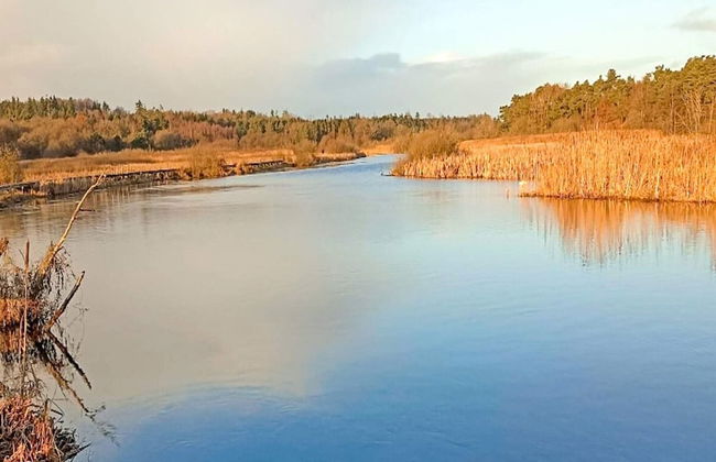 6 Person Holiday Home in Farvang - Foto 22