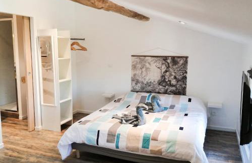 Studio charmant à Saint-Jory, 25 m², piscine partagée - Foto 9