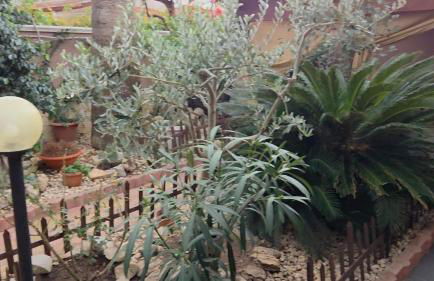 CASA DI ALICE A 250 METRI DAL MARE - Foto 29