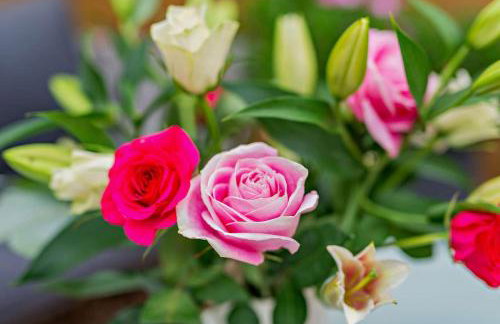 2 Bed in Long Bennington oc-w29535 - Foto 17