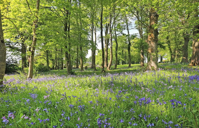 Carrygerry Country House - Foto 57