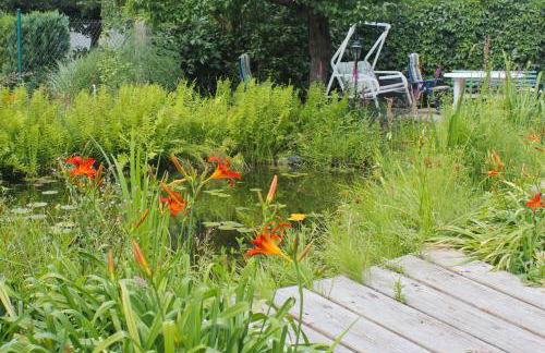 An der Hainmühle - Foto 33