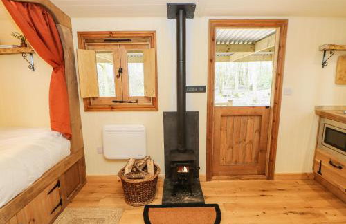 Bracken Fern - Photo 7