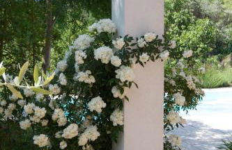 Callian - Très belles Villas, 3 chambres et piscine privée - Foto 26