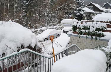 Birkenstübchen - Foto 17