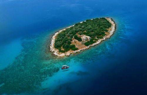 '' I FOLIA '' / ' 'LE NID '' - Foto 45