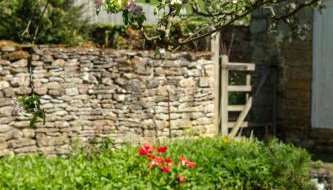 Cliff House Holiday Cottages - Foto 4, Garden