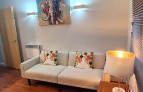 Cozy 1 bedroom apartment, Sheffield city center, free wifi - Foto 8