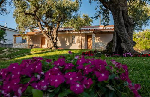 Il Mirto Residence - Foto 32