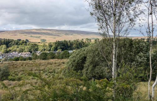 Pet Friendly - Lodge at Riverview Holiday Park - Foto 31