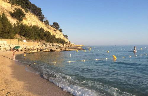 Appart Bianca T2 - Terrasse - Parking - Calme - 1mn de la mer - Photo 41