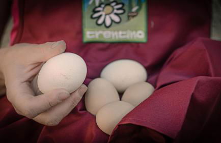 Agritur Coryletum - Foto 43