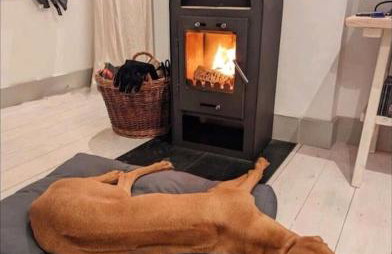 The Flower House - Photo 17