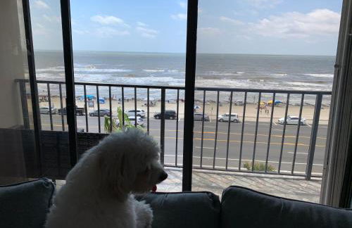 Amazing and Spectacular ocean and beach views in Galveston - Photo 30