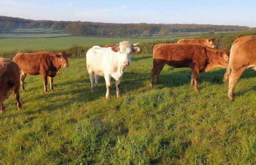 Gite les champs Darié 3 étoiles - Foto 2