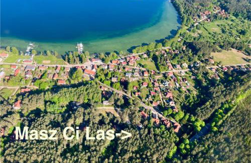 Masz Ci Las - Photo 8