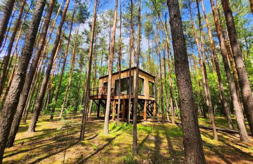 Tree Houses Olszanka - Photo 25