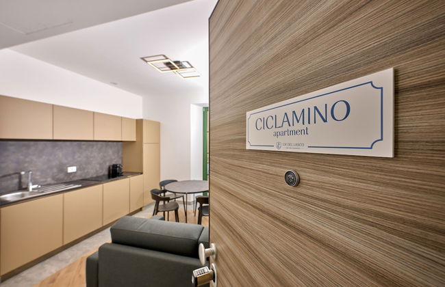 Cà del Lasco - Modern Apartments in Classic Villa - Foto 5