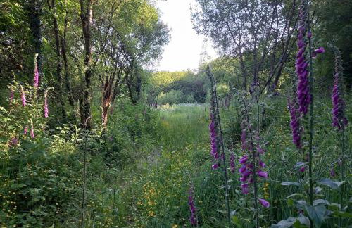 Charming Barn Conversion - Idyllic Rural Retreat- Pet Friendly - Foto 25