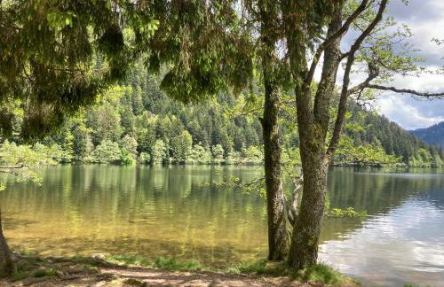 Le Perchoir, Gîte 7 personnes, Le Grand Valtin - Foto 36