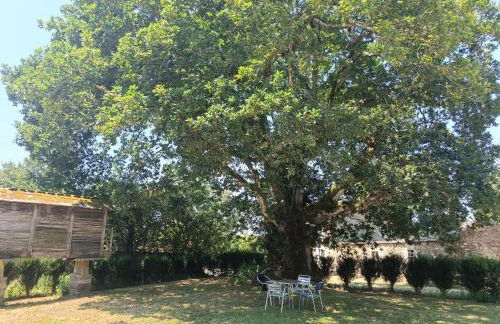 Casa verde de Lobán - Foto 34